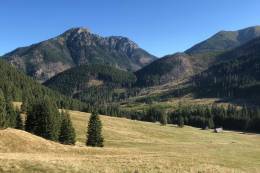 Scientists submit proposals for revisions of the zoning of four national parks in accordance with the law and the Restoration Plan