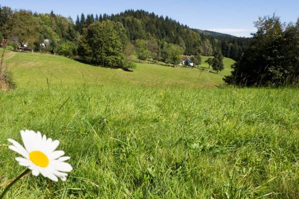 New digital platform Virtual Beskydy helps address climate challenges in the Czech-Slovak border...