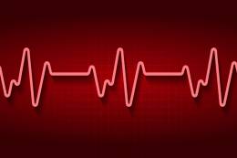 TÝŽDEŇ MOZGU Výskum neurobiologického tímu zo...