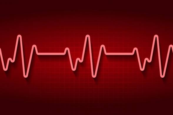 TÝŽDEŇ MOZGU Výskum neurobiologického tímu zo SAV dáva nádej na liečbu cievnych mozgových...