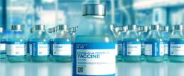 Analyzed mRNA Vaccines Contain Only Approved Components