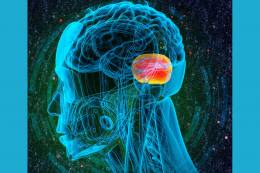 TÝŽDEŇ MOZGU Nové poznatky o mozočku: od motoriky...