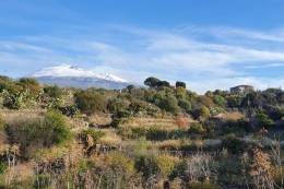 Krajinní ekológovia skúmali význam tradičných...