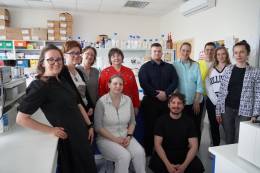SAS scientists contribute to deeper understanding of cytomegalovirus