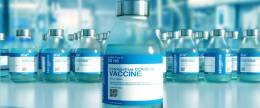 The Biomedical Research Center of the SAS provided detailed information on the results of mRNA vaccine analysis